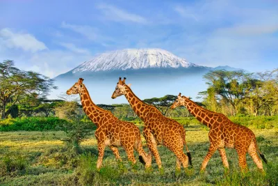 Kenya: safari e spiagge